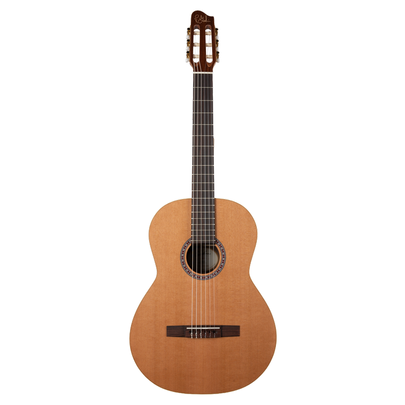 GuitarraAplha_WEB